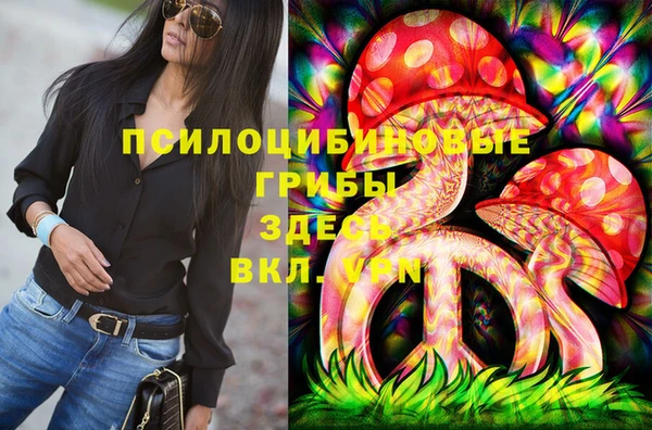 марки lsd Новозыбков