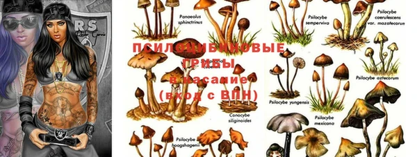 марки lsd Новозыбков