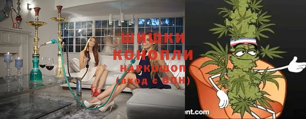 марки lsd Новозыбков