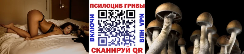 hydra ONION  Собинка  Галлюциногенные грибы Cubensis 